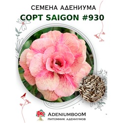 Адениум Тучный от SAIGON ADENIUM № 930  (2 сем)