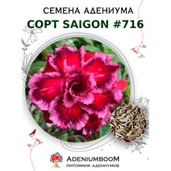 Адениум Тучный от SAIGON ADENIUM № 716   (2 сем)