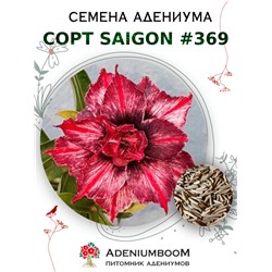 Адениум Тучный от SAIGON ADENIUM № 369   (2 сем)