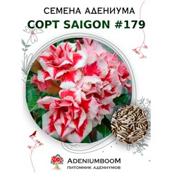 Адениум Тучный от SAIGON ADENIUM № 179   (2 сем)