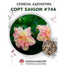 Адениум Тучный от SAIGON ADENIUM № 744   (2 сем)