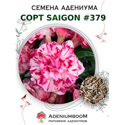 Адениум Тучный от SAIGON ADENIUM № 379   (2 сем)