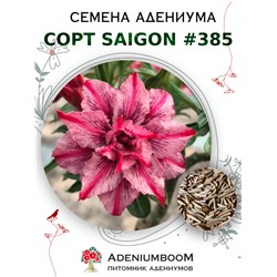 Адениум Тучный от SAIGON ADENIUM № 385   (2 сем)
