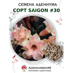 Адениум Тучный от SAIGON ADENIUM № 30   (2 сем)