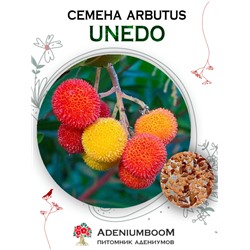 ARBUTUS UNEDO (Арбутус, Земляничное дерево)