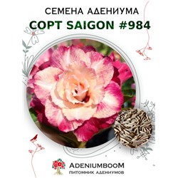 Адениум Тучный от SAIGON ADENIUM № 984  (2 сем)