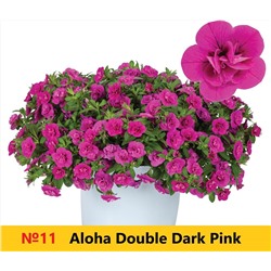 11 Калибрахоа Aloha Double Dark Pink