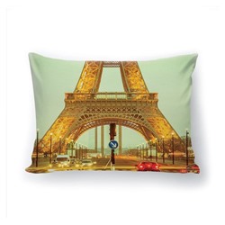 Подушка декоративная с 3D рисунком "Парижские врата"