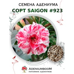 Адениум Тучный от SAIGON ADENIUM № 923  (2 сем)
