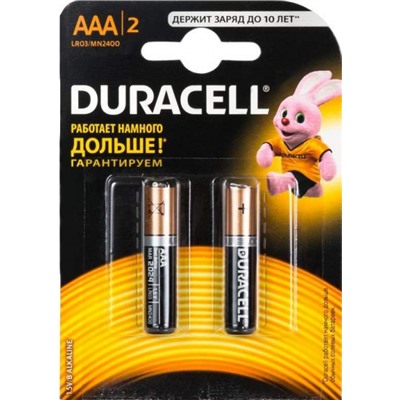 LR 3 Duracell Basic 2xBL (24/96)