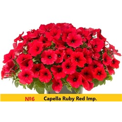 6 Петуния Capella Ruby Red Imp