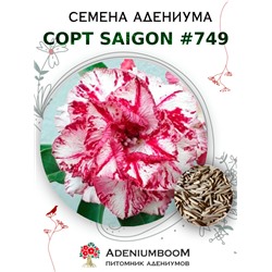Адениум Тучный от SAIGON ADENIUM № 749   (2 сем)