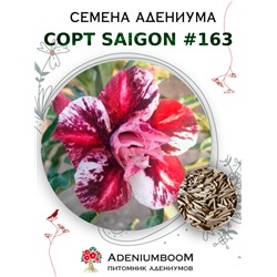 Адениум Тучный от SAIGON ADENIUM № 163   (2 сем)