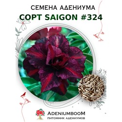 Адениум Тучный от SAIGON ADENIUM № 324  (2 сем)