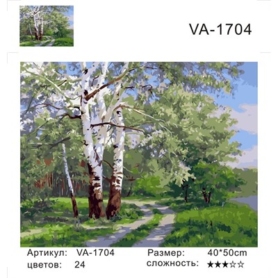 Картины по номерам 40х50 Березы у тропы (VA-1704)