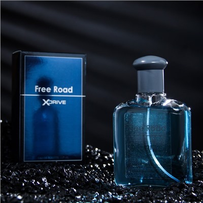 Туалетная вода мужская X-Drive Free Road, 100 мл (по мотивам Bleu de Chanel)