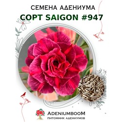 Адениум Тучный от SAIGON ADENIUM № 947  (2 сем)