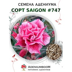 Адениум Тучный от SAIGON ADENIUM № 747   (2 сем)