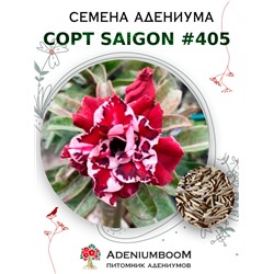 Адениум Тучный от SAIGON ADENIUM № 405   (2 сем)