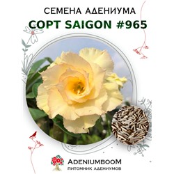 Адениум Тучный от SAIGON ADENIUM № 965