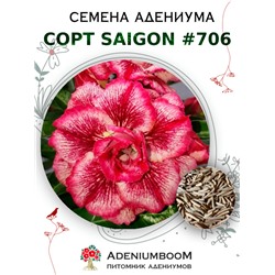 Адениум Тучный от SAIGON ADENIUM № 706   (2 сем)