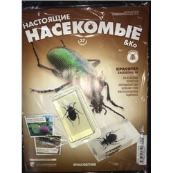 КОЛЛЕКЦИЯ ЖУРНАЛОВ DeAGOSTINI  "Настоящие насекомые & Ко " + настоящее насекомое, залитое в прозрачный пластик