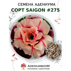 Адениум Тучный от SAIGON ADENIUM № 275   (2 сем)
