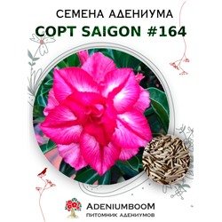 Адениум Тучный от SAIGON ADENIUM № 164   (2 сем)