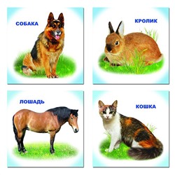 Карточки обучающие "Домашние животные" 12*12см, 12 шт. ЛЕДА