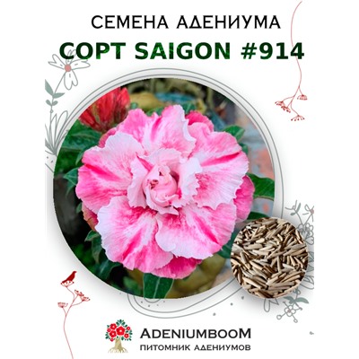 Адениум Тучный от SAIGON ADENIUM № 914