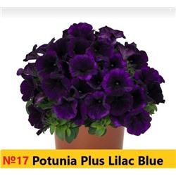 17 Петуния Potunia Plus Lilac Blue