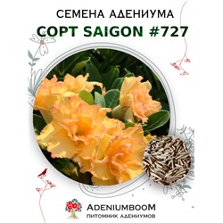 Адениум Тучный от SAIGON ADENIUM № 727   (2 сем)