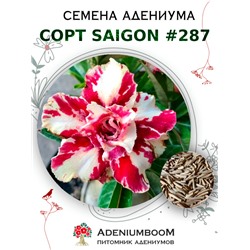 Адениум Тучный от SAIGON ADENIUM № 287   (2 сем)