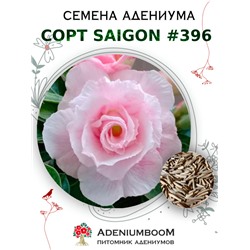 Адениум Тучный от SAIGON ADENIUM № 396   (2 сем)