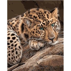 Картина по номерам 40х50 «Леопард»