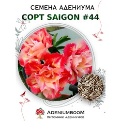 Адениум Тучный от SAIGON ADENIUM № 44   (2 сем)