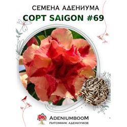Адениум Тучный от SAIGON ADENIUM № 69   (2 сем)