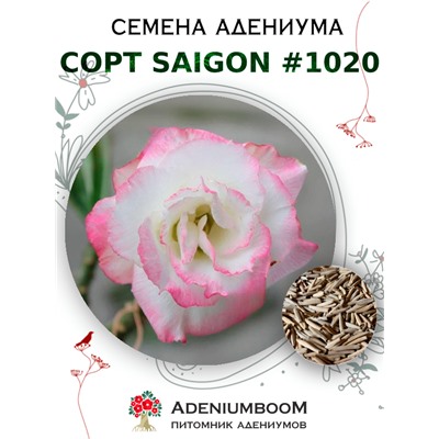 Адениум Тучный от SAIGON ADENIUM № 1020