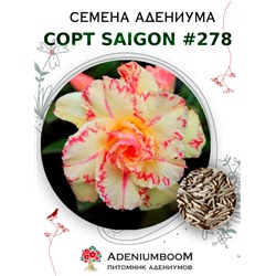 Адениум Тучный от SAIGON ADENIUM № 278   (2 сем)