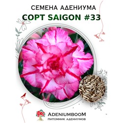 Адениум Тучный от SAIGON ADENIUM № 33   (2 сем)