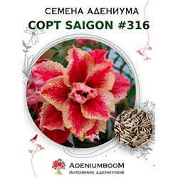 Адениум Тучный от SAIGON ADENIUM № 316  (2 сем)