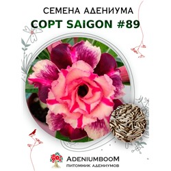 Адениум Тучный от SAIGON ADENIUM № 89   (2 сем)
