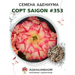 Адениум Тучный от SAIGON ADENIUM № 353   (2 сем)