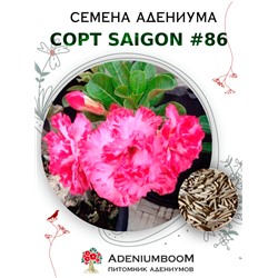 Адениум Тучный от SAIGON ADENIUM № 86   (2 сем)