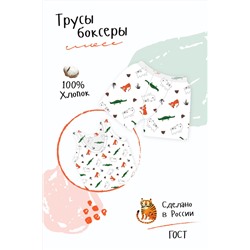 Детские трусы Боксеры Лимпопо для мальчика