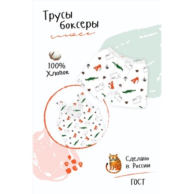 Детские трусы Боксеры Лимпопо для мальчика