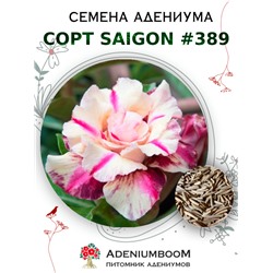 Адениум Тучный от SAIGON ADENIUM № 389   (2 сем)