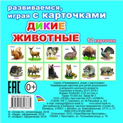 Карточки обучающие "Дикие животные", 11х11 см, 12 штук, в упаковке с европодвесом 26665 ЛЕДА