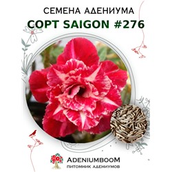 Адениум Тучный от SAIGON ADENIUM № 276   (2 сем)