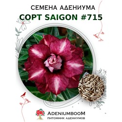 Адениум Тучный от SAIGON ADENIUM № 715   (2 сем)